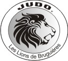 Logo JUDO DES LIONS DE BRUGUIERES