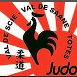 Logo JUDO CLUB VAL DE SAANE