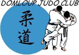 Logo DOMLOUP SPORT SECTION JUDO
