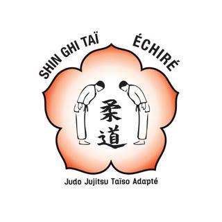 Logo SHIN GHI TAI ECHIRE