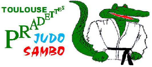 Logo TOULOUSE PRADETTES JUDO SAMBO