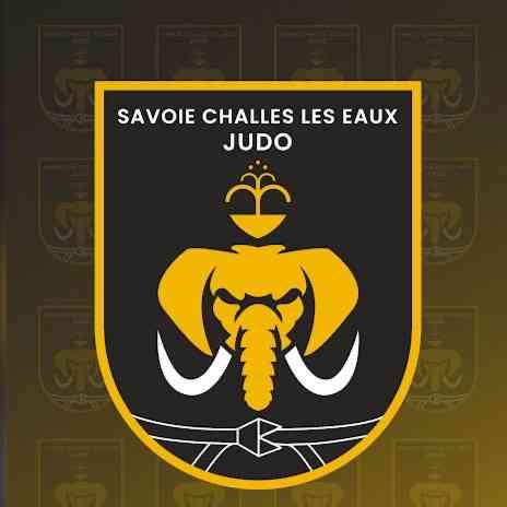 Logo SAVOIE CHALLES LES EAUX JUDO